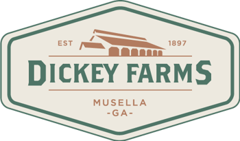 Dickey-Logo_f